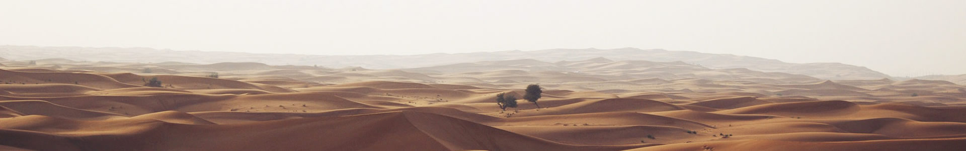 ݵе޹˾
